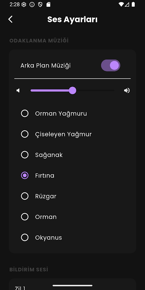 Pomodoro Elite ekran görüntüsü 7